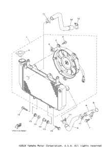 Radiator & Hose