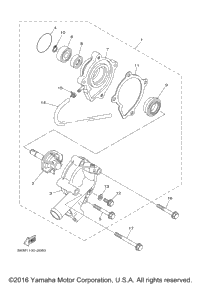 Water Pump
