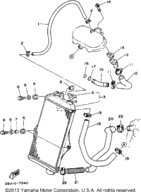 Radiator - Hose