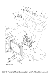 Radiator Hose