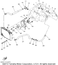 Radiator Hose
