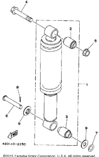 Rear Shocks