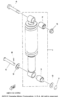 Rear Shocks