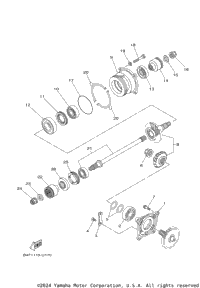 Middle Drive Gear