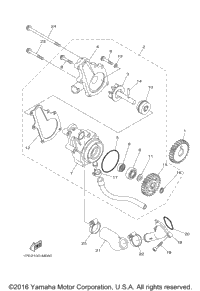 Water Pump