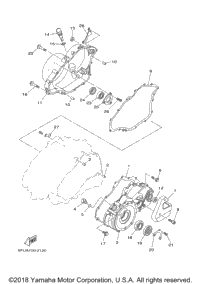 Crankcase Cover 1