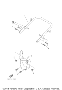 Guard