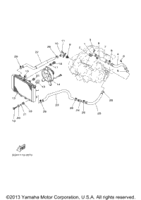 Radiator Hose