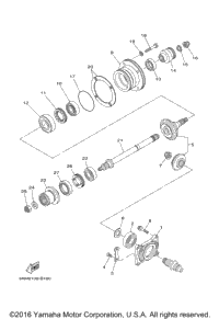 Middle Drive Gear