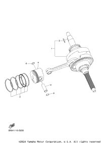 Crankshaft & Piston