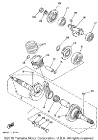 Crankshaft - Piston