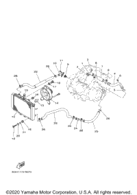 Radiator Hose