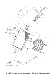 Radiator & Hose