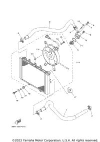 Radiator Hose