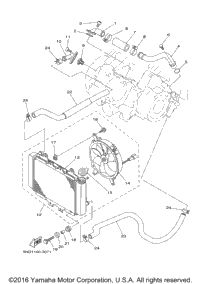 Radiator Hose