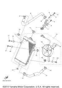 Radiator Hose