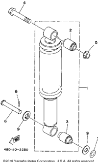 Rear Shocks
