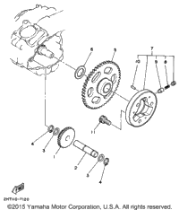 Starter Clutch
