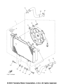 Radiator & Hose