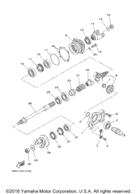 Middle Drive Gear