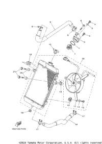 Radiator Hose