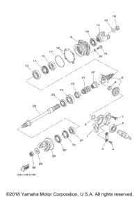 Middle Drive Gear