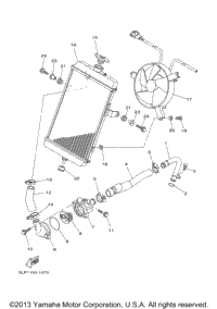 Radiator Hose