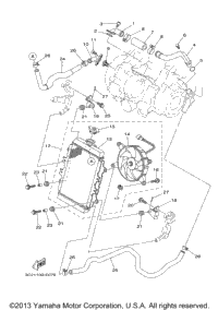Radiator Hose