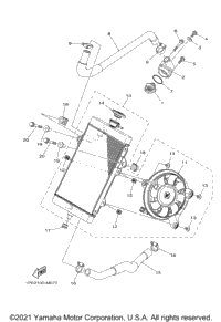 Radiator Hose