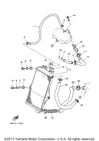 Radiator Hose