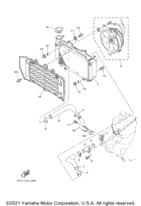 Radiator Hose