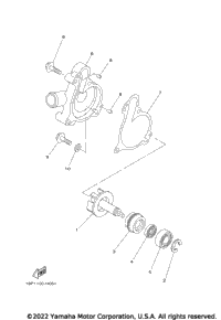 Water Pump