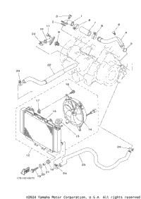 Radiator Hose