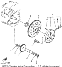 Starter Clutch