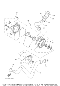 Water Pump