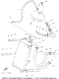 Radiator - Hose