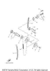 Camshaft Chain