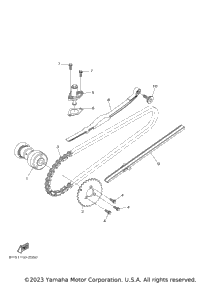 Camshaft & Chain