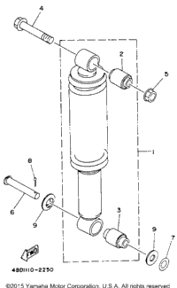 Raer Shocks