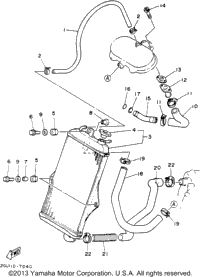 Radiator - Hose