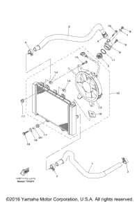 Radiator Hose