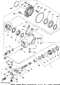 Drive Shaft