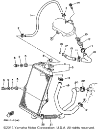 Radiator - Hose