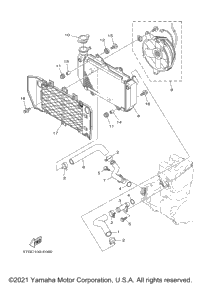 Radiator Hose