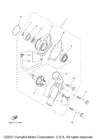 Water Pump