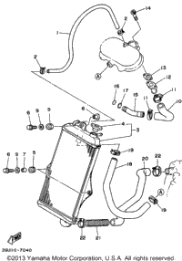 Radiator - Hose