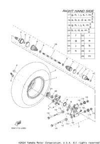 Rear Wheel 2