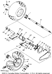 Rear Wheel