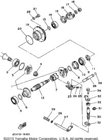 Middle Drive Gear