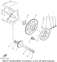 Starter Clutch